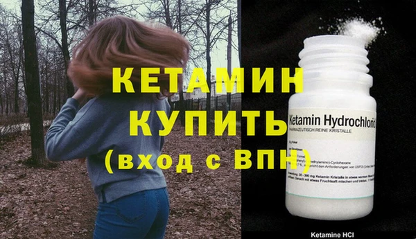 сатива Армянск