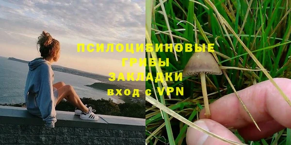 дурь Аркадак