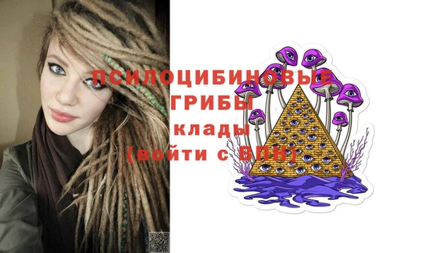 сатива Армянск