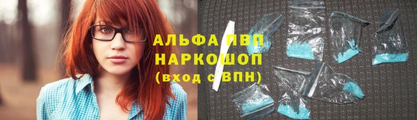 сатива Армянск